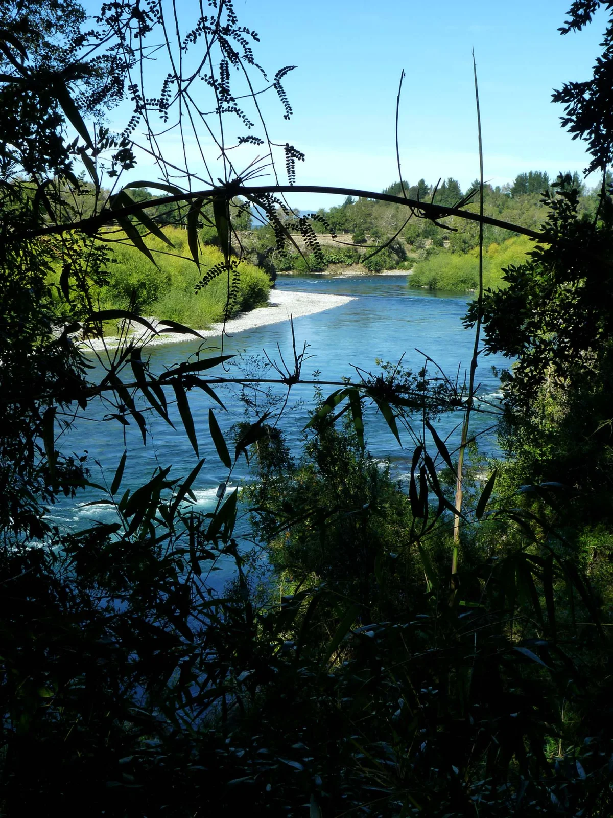 Río Toltén