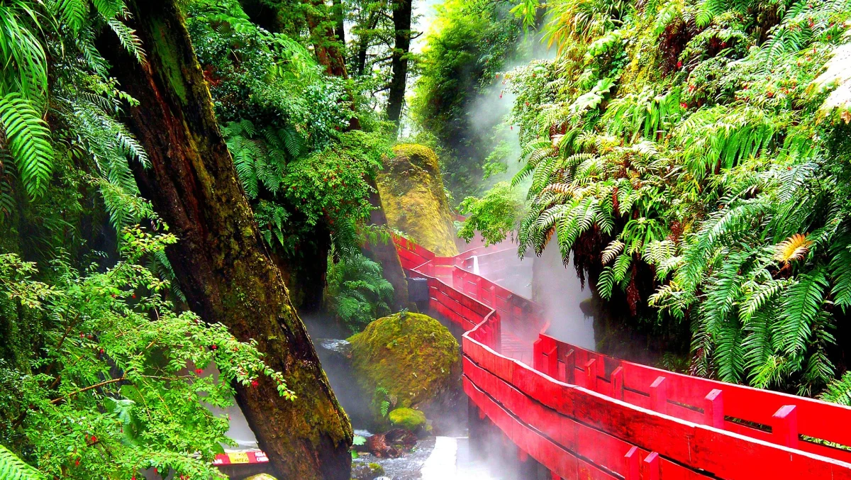 Termas Geométricas cambian de administración el 30 de septiembre: guía para quien visita desde Villarrica