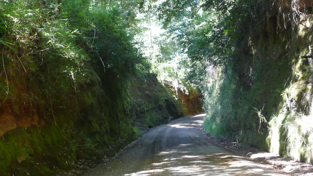 Caminos afectados en Pucón y Villarrica: Krause, CH-199 y Quelhue